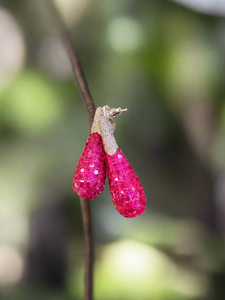 Ruby Invisible Setting Earrings